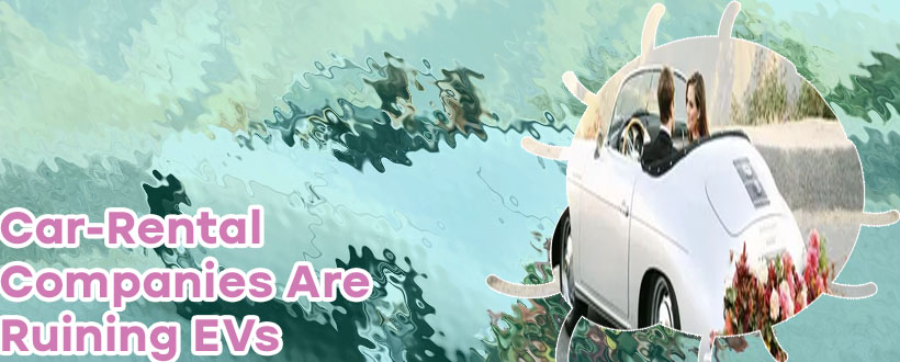 Any car rentals near me