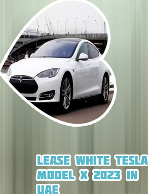 Monthly tesla rental